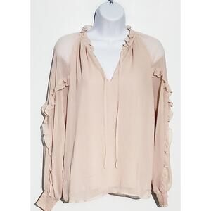 Express Womens Ruffled Pale Pink Sheer Blouse Size Large Feminine Cottagecore